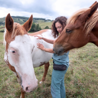 Equine Therapy