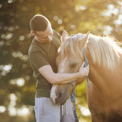 a man and horse